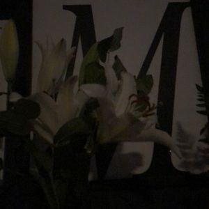 Meet your Posher, Marissa